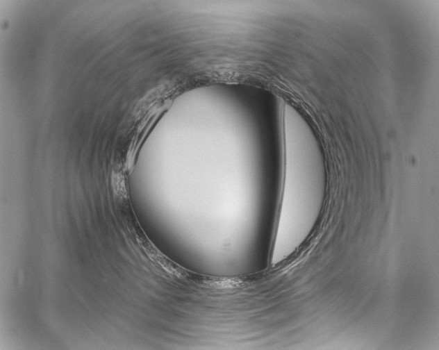 X0000059800432200510210901