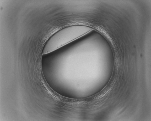 X0000059800433200510210901