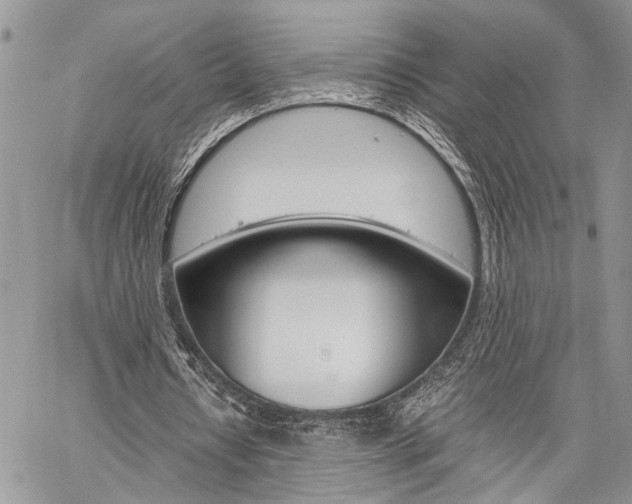 X0000059800434200510210901