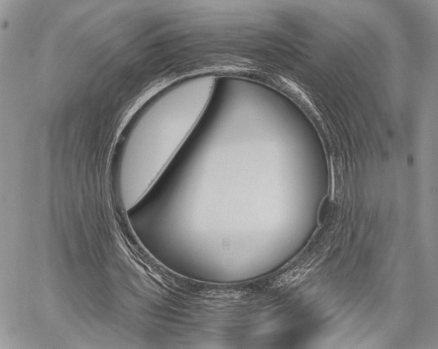 X0000059800435200510210901