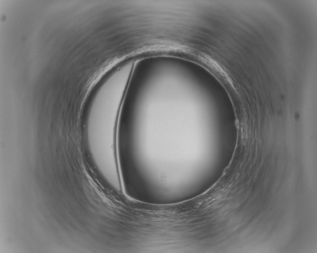 X0000059800436200510210901