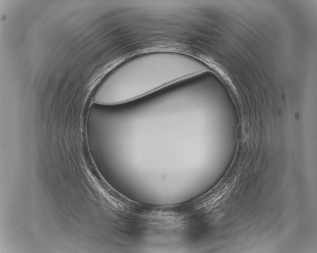 X0000059800437200510210901