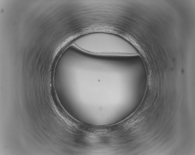 X0000059800438200510210901