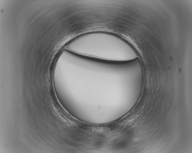 X0000059800439200510210901