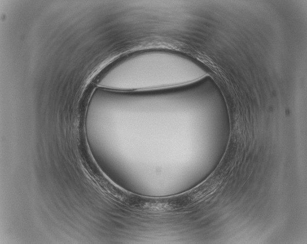 X0000059800440200510210901