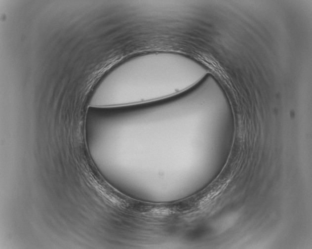 X0000059800441200510210901