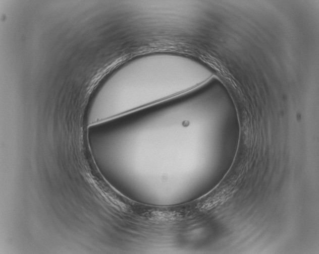 X0000059800442200510210901