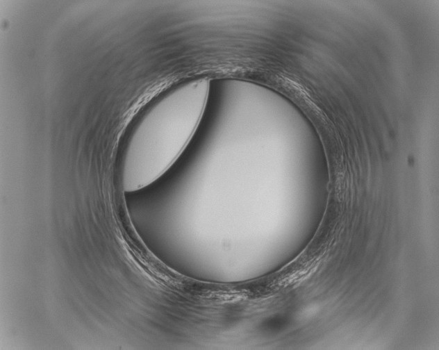 X0000059800443200510210901