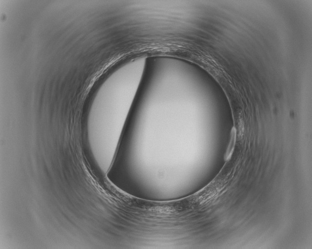 X0000059800444200510210901