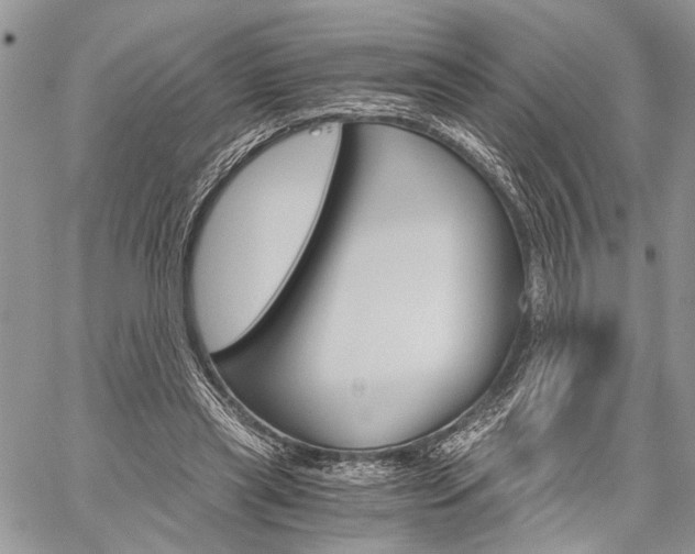 X0000059800445200510210901