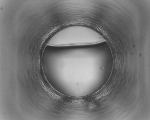 X0000059800446200510210901