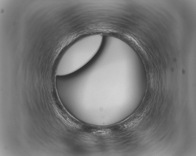 X0000059800447200510210901