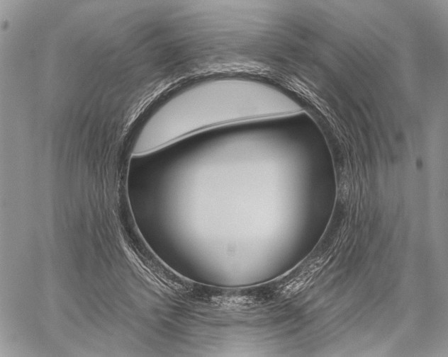 X0000059800448200510210901