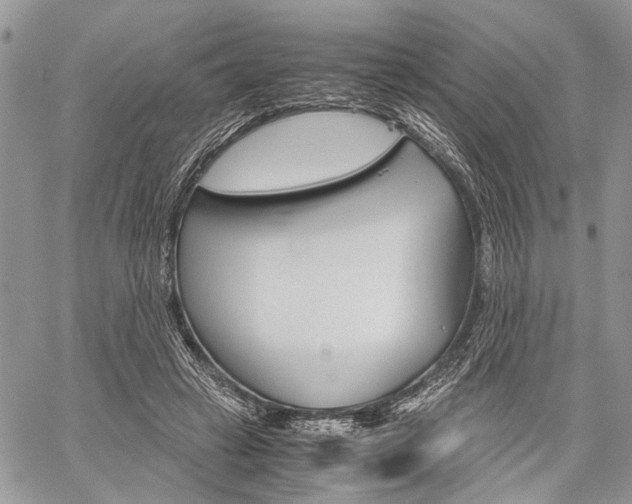 X0000059800449200510210901