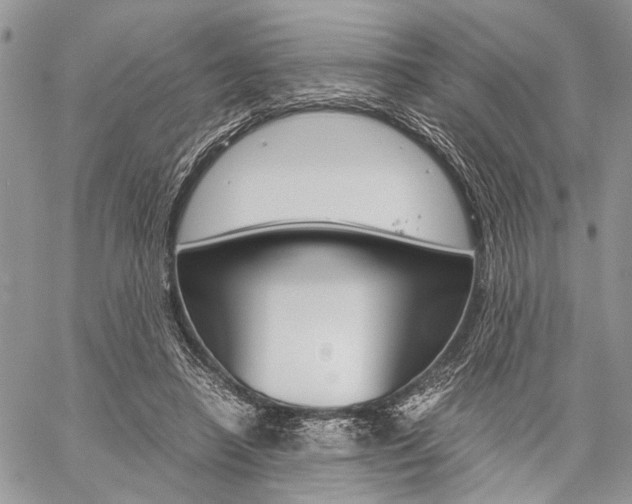 X0000059800450200510210901