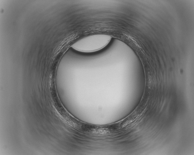 X0000059800451200510210901