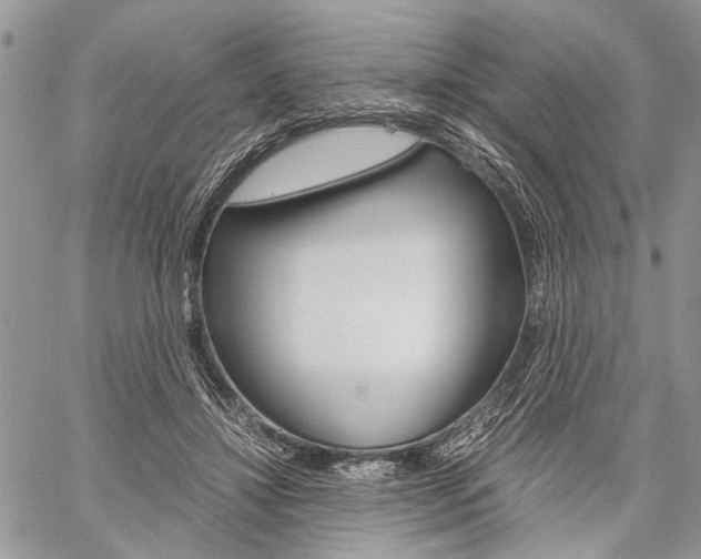 X0000059800452200510210901