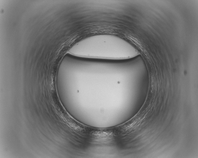 X0000059800453200510210901