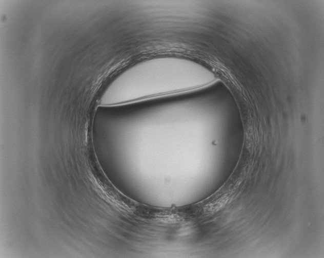 X0000059800454200510210901