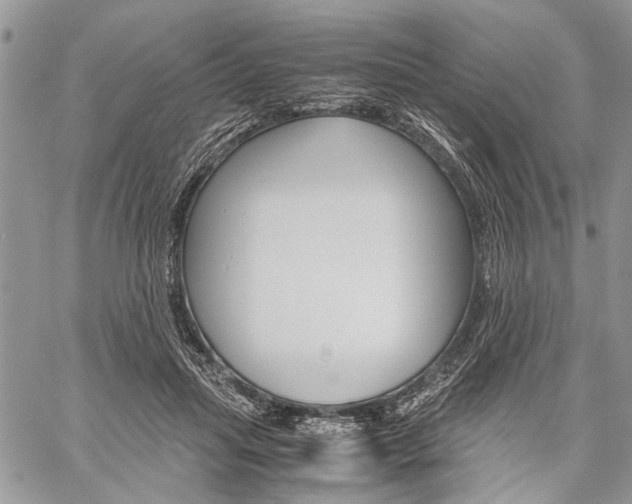 X0000059800455200510210901