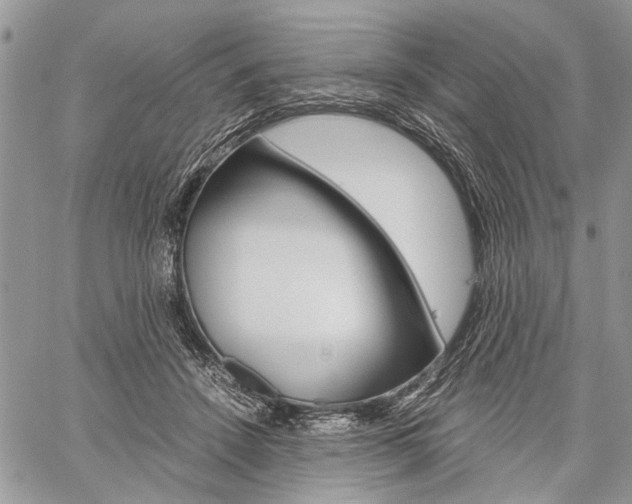 X0000059800456200510210901