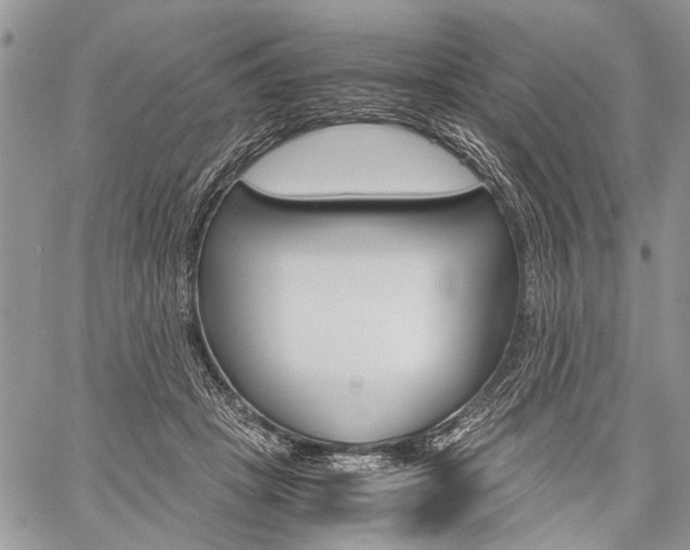 X0000059800457200510210901