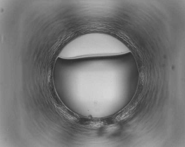 X0000059800458200510210901