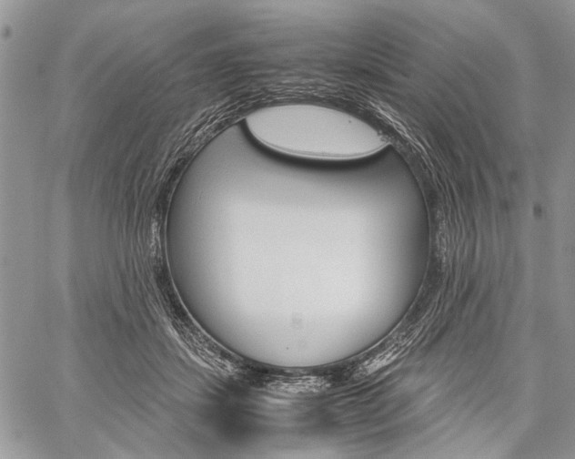 X0000059800459200510210901