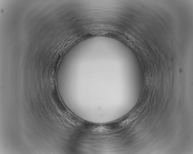 X0000059800460200510210901