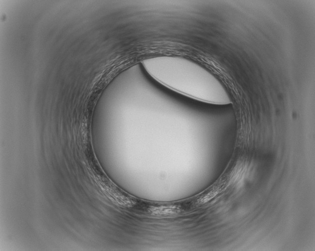 X0000059800461200510210901