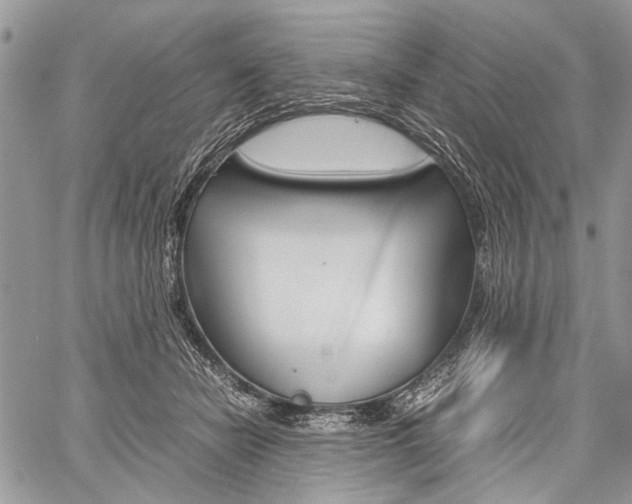 X0000059800462200510210901