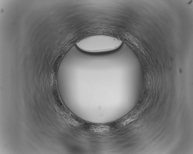 X0000059800463200510210901