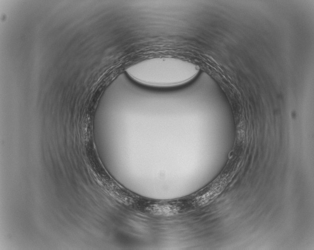 X0000059800464200510210901