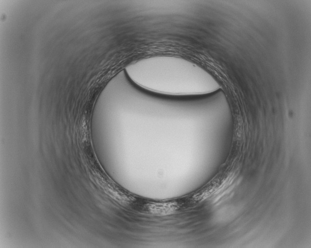 X0000059800465200510210901