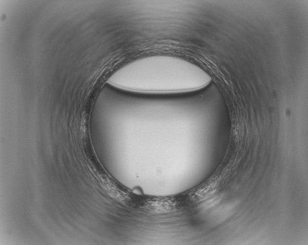 X0000059800466200510210901