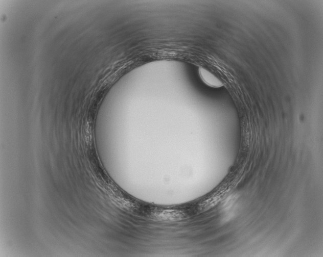 X0000059800467200510210901