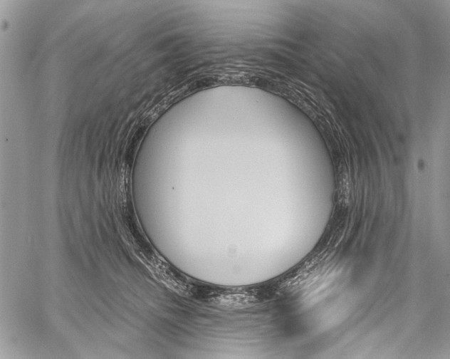 X0000059800468200510210901