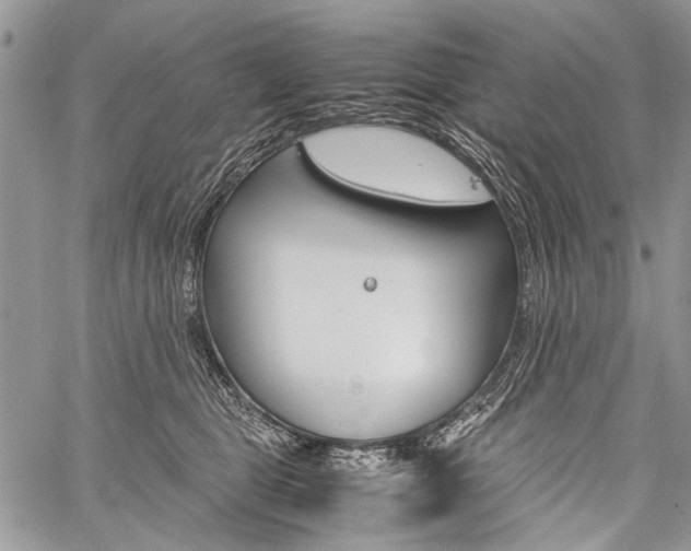 X0000059800469200510210901