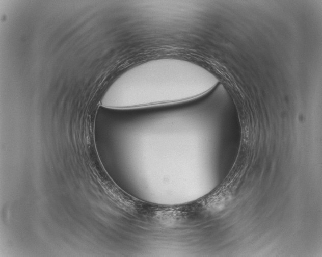 X0000059800470200510210901