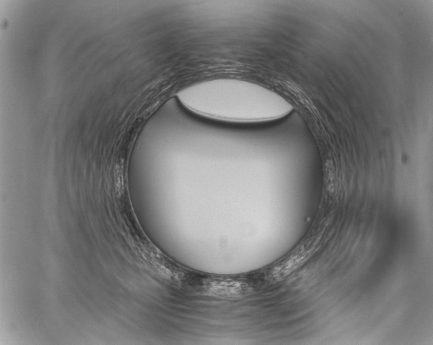 X0000059800471200510210901