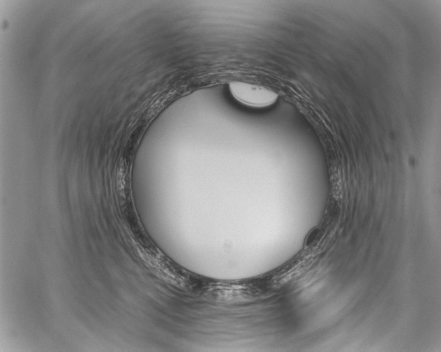 X0000059800472200510210901