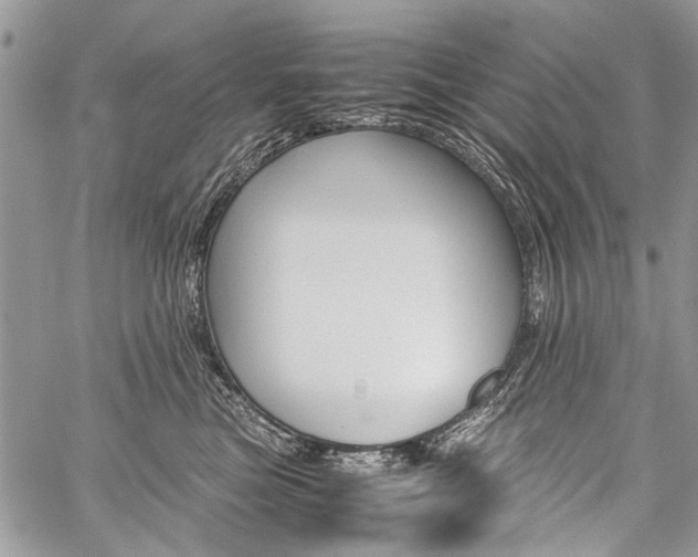 X0000059800473200510210901