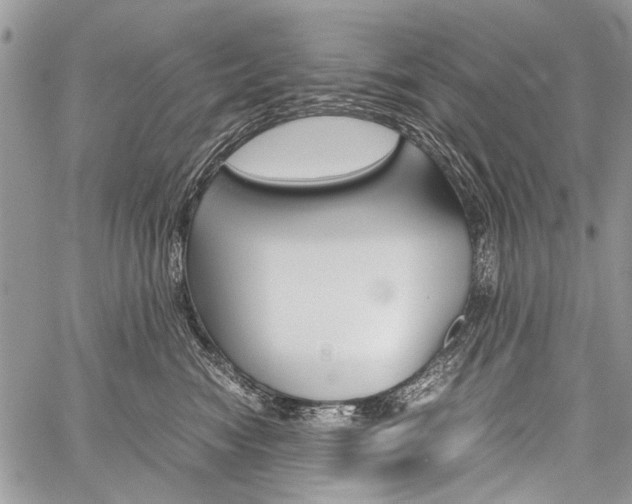 X0000059800474200510210901