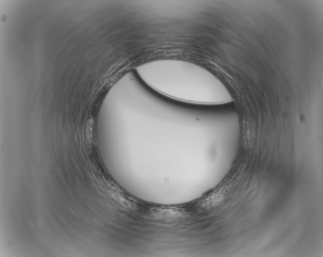 X0000059800475200510210901