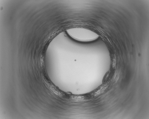 X0000059800476200510210901