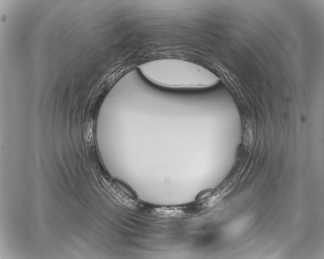 X0000059800477200510210901