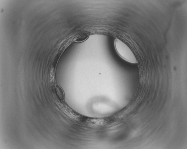 X0000059800478200510210901