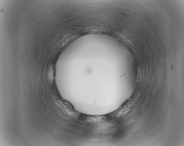 X0000059800479200510210901