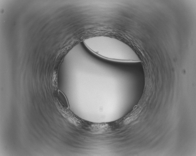 X0000059800480200510210901