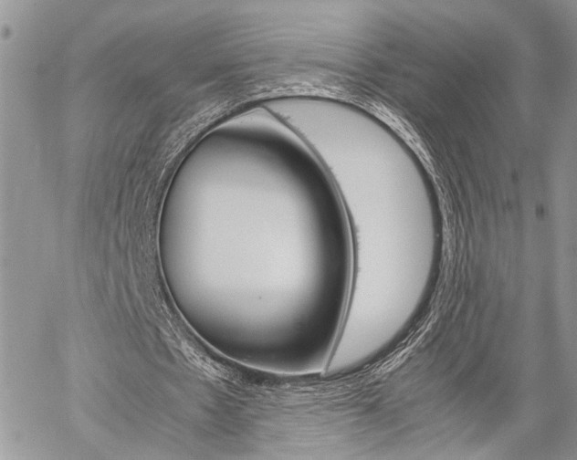 X0000059800481200510210901